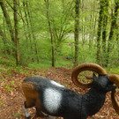Umlachtal 2014 075.JPG