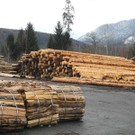 DSCN1419.JPG