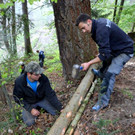 Freiwilligentag 26_04 _8_.jpg