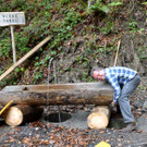 Freiwilligentag 26_04 _21_.jpg