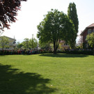 VS Lauterach LESEdrachenFEST 2014 Fotos _9_.JPG