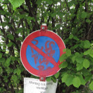 Sachbeschädigung in Schwarzach