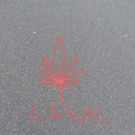 115___04_ IMG_3910.JPG