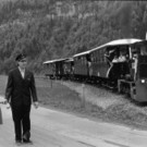 W__lderbahn_v1.jpg