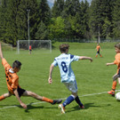361 Kopie.jpg