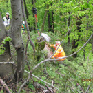 123___04_ IMG_2110.jpg