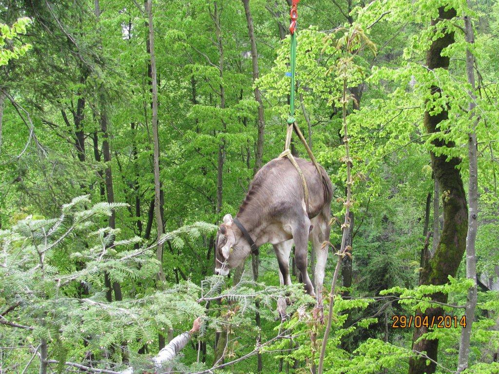 123___04_ IMG_2111.jpg