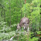 123___04_ IMG_2111.jpg