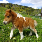 DSC01315.jpg