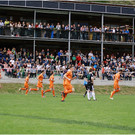 20140426_032_bizau_alberschwe_light800px.JPG