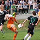 20140426_049_bizau_alberschwe_light800px.JPG