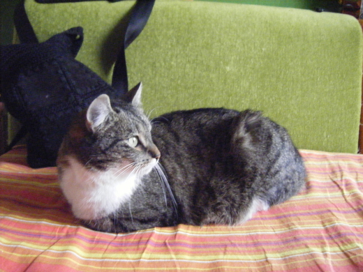 2008_12250002.JPG