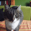 2008_12250004.JPG
