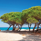 Sardinien_allg_14.jpg