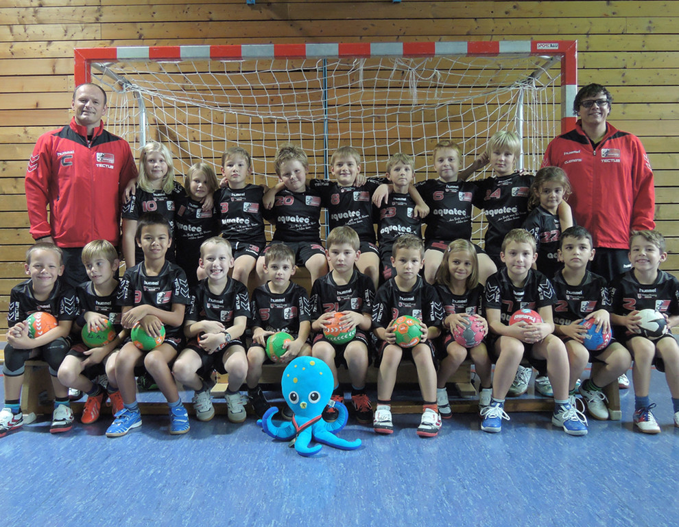 Handball11e Gruppe Favorit I.jpg