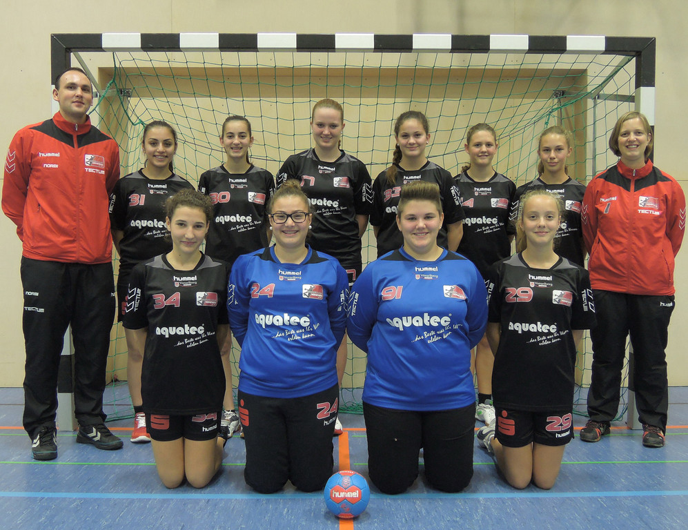 Handball11e Jugend B-w.jpg