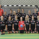 Handball11f Weibliche D-Jugend - U12 .jpg