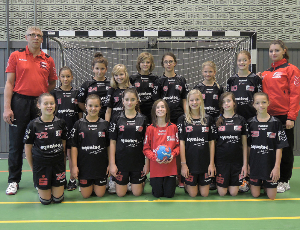 Handball11f Weibliche D-Jugend - U12 .jpg