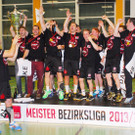 Handball12g.jpg