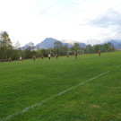 DSC00397.JPG