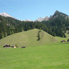 einfach so 2010 020.jpg