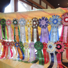 DSCN0480.JPG