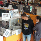 DSCN0505.JPG