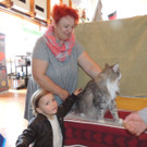 DSCN0517.JPG