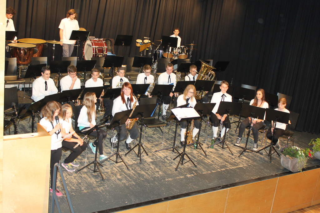Fr__hjahrskonzert_B__rgermusik-Fraxern-2014 _28_.jpg