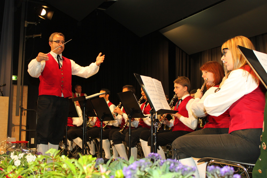 Fr__hjahrskonzert_B__rgermusik-Fraxern-2014 _43_.jpg