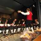 Fr__hjahrskonzert_B__rgermusik-Fraxern-2014 _52_.jpg