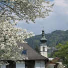 Fr__hling Hochstammkulturen _12_.jpg