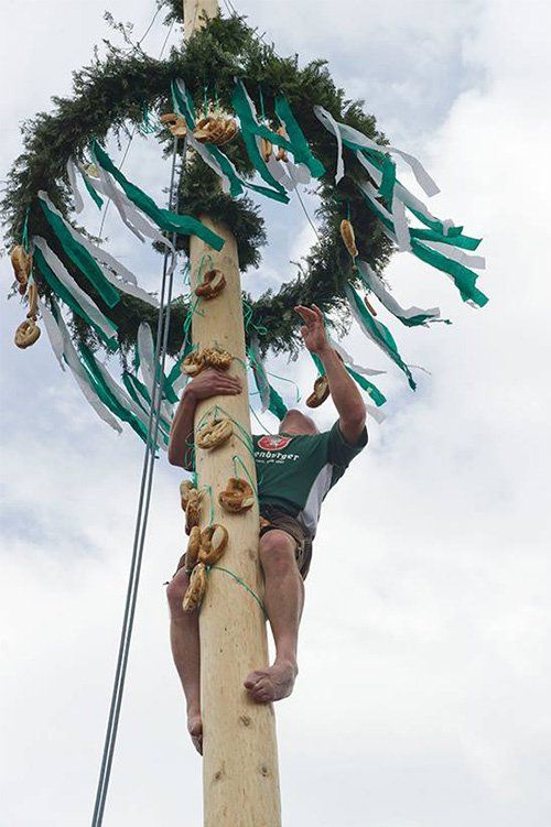 maibaum.jpg