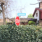 Leharstra__e1.JPG