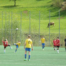 P5010202.JPG