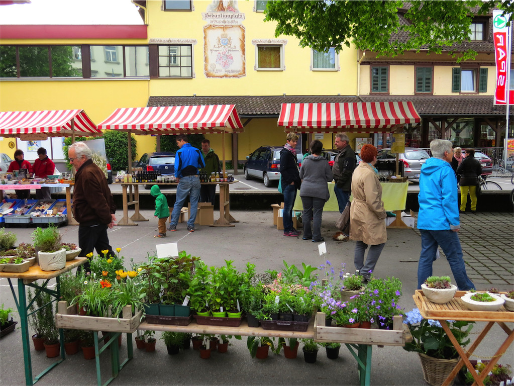 BK_Gisinger Ma__rktle_Mai 2014 12.JPG