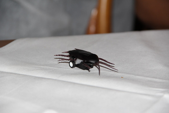 bea_To__dliches_Dinner_2014 _197 von 252_.jpg