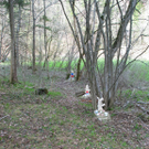 IMG_2279.JPG