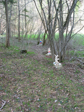 IMG_2279.JPG