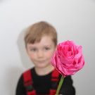 IMG_5768.jpg