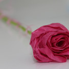 IMG_5774.JPG