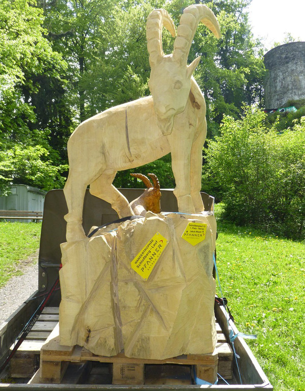 Lauf14Steinbock.jpg