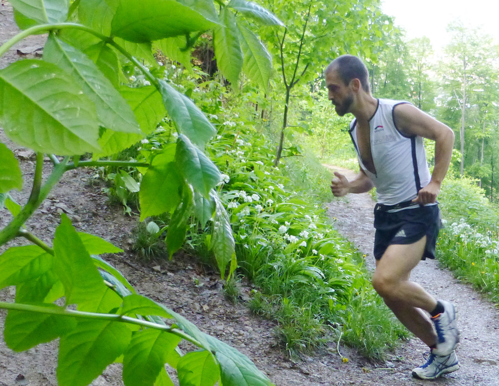 Lauf40a _.jpg