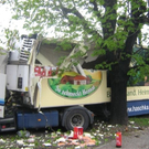 Neues Bild3.JPG