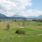 IMG_5324A.JPG