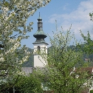 Fr__hling Hochstammkulturen _16_.jpg
