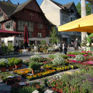 Blumenmarkt1_JPG-1271353647