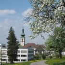 Fr__hling Hochstammkulturen _17_.jpg