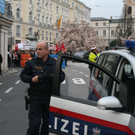 IMG_6239.jpg