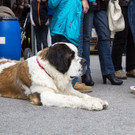 20140504_Bergrettungstag_050.jpg